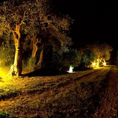 Casa Maccari Alle Riserve Vendicari מראה חיצוני תמונה